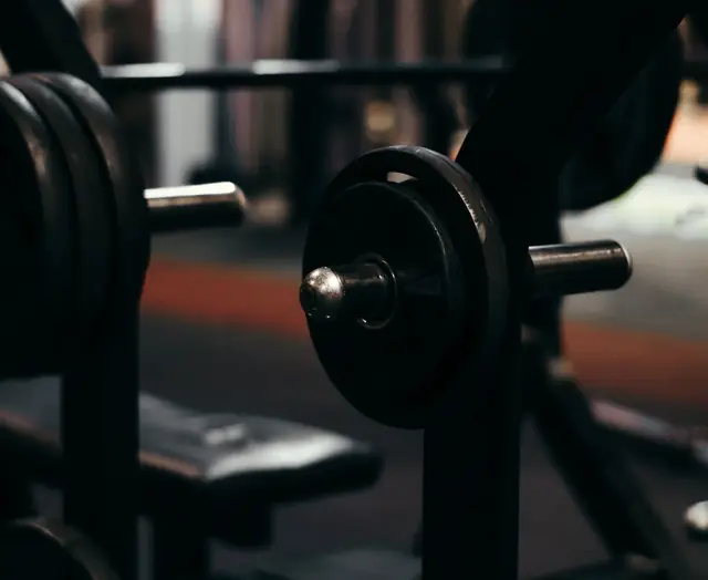 Barbells and weights in a gym