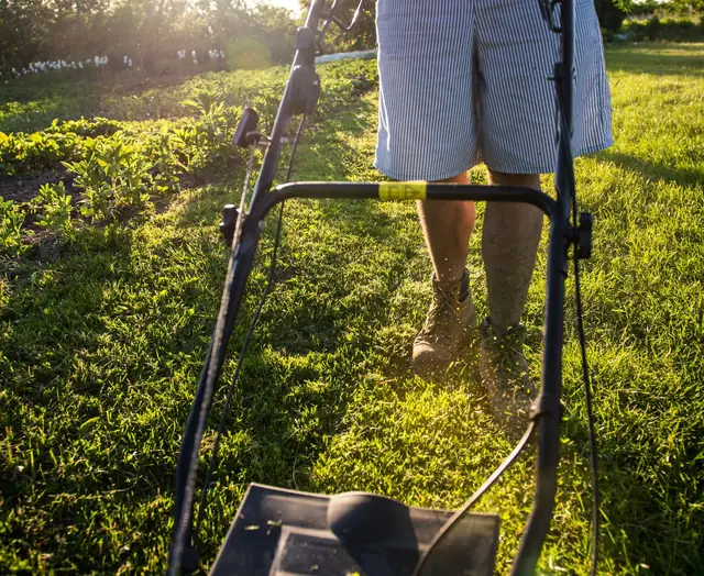 Mowing a sunny lawn